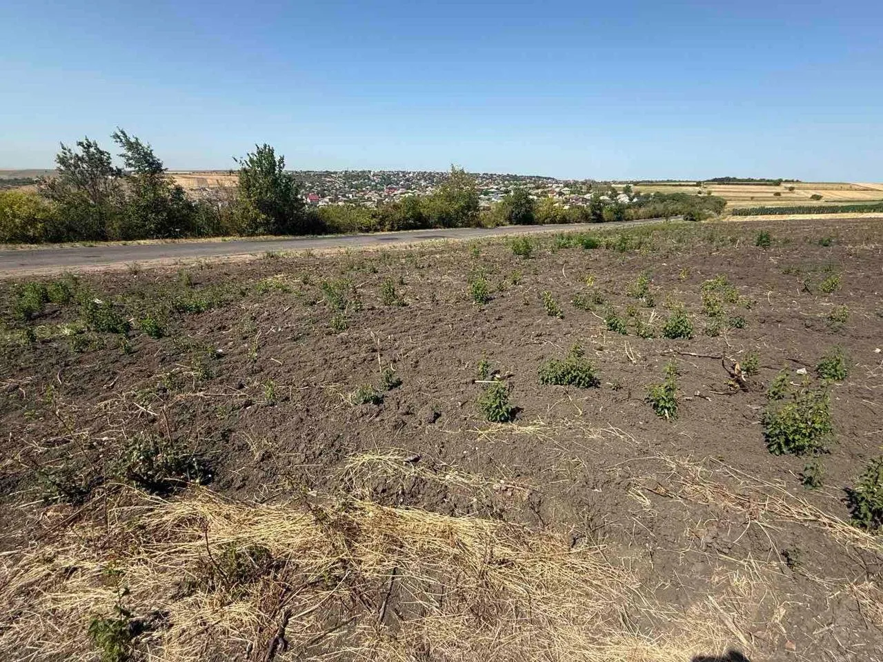 Chișinău, Colonița str. Tohatin 6