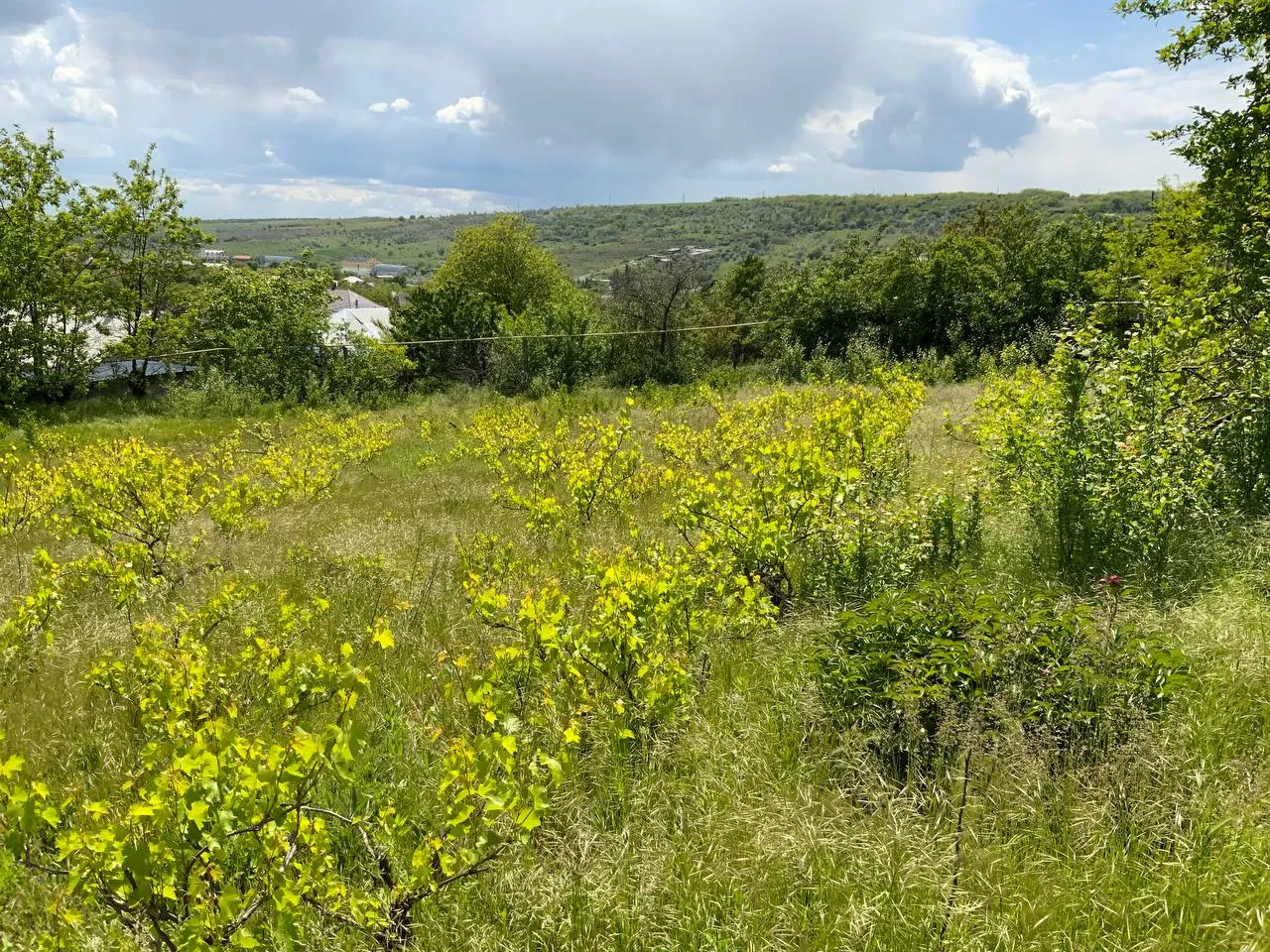 Chișinău Grătiești str. Vasile Alexandri 6