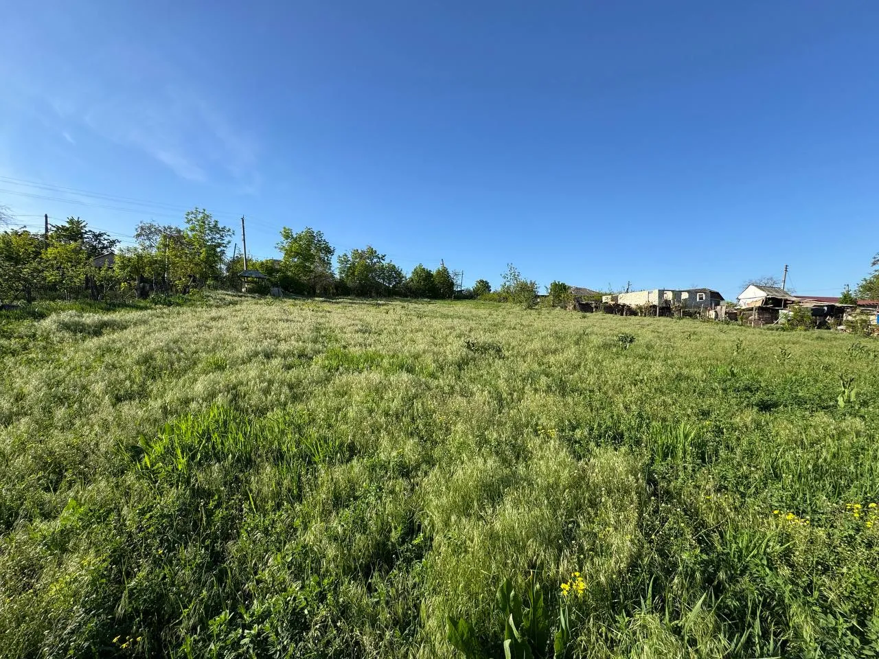 Sîngerei sat Dumbrăvița 8