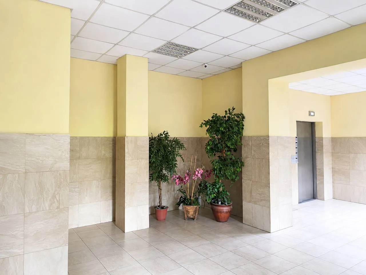 Chișinău Botanica bd. Decebal  11