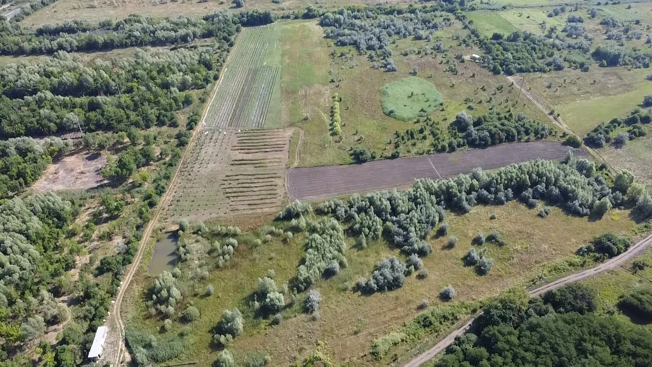 Ialoveni Sociteni Periferie 4