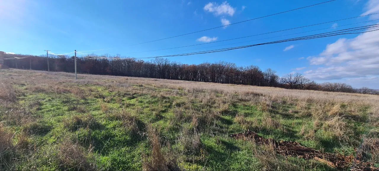 Ialoveni Dănceni I.P.„Lesnaia Poleana” 4