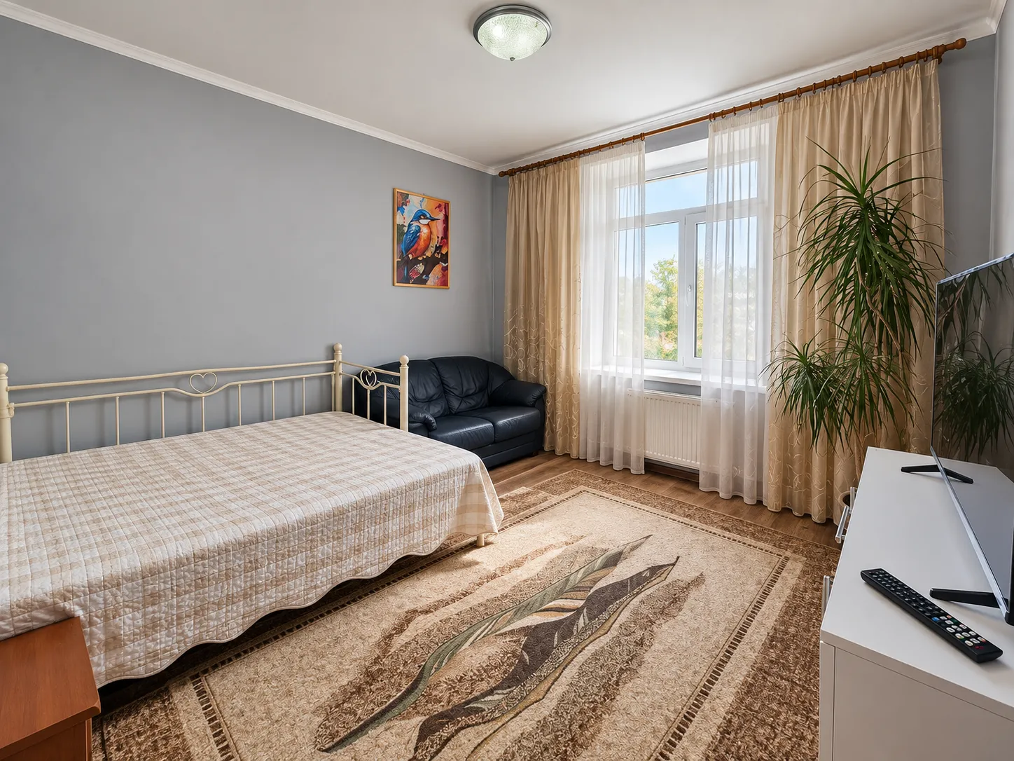 Chișinău Centru str. Zamfir Arbore 6
