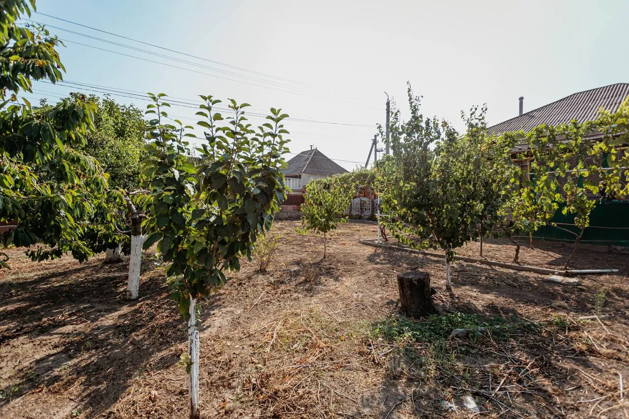 Anenii Noi Centru str. Ion Soltîs 19