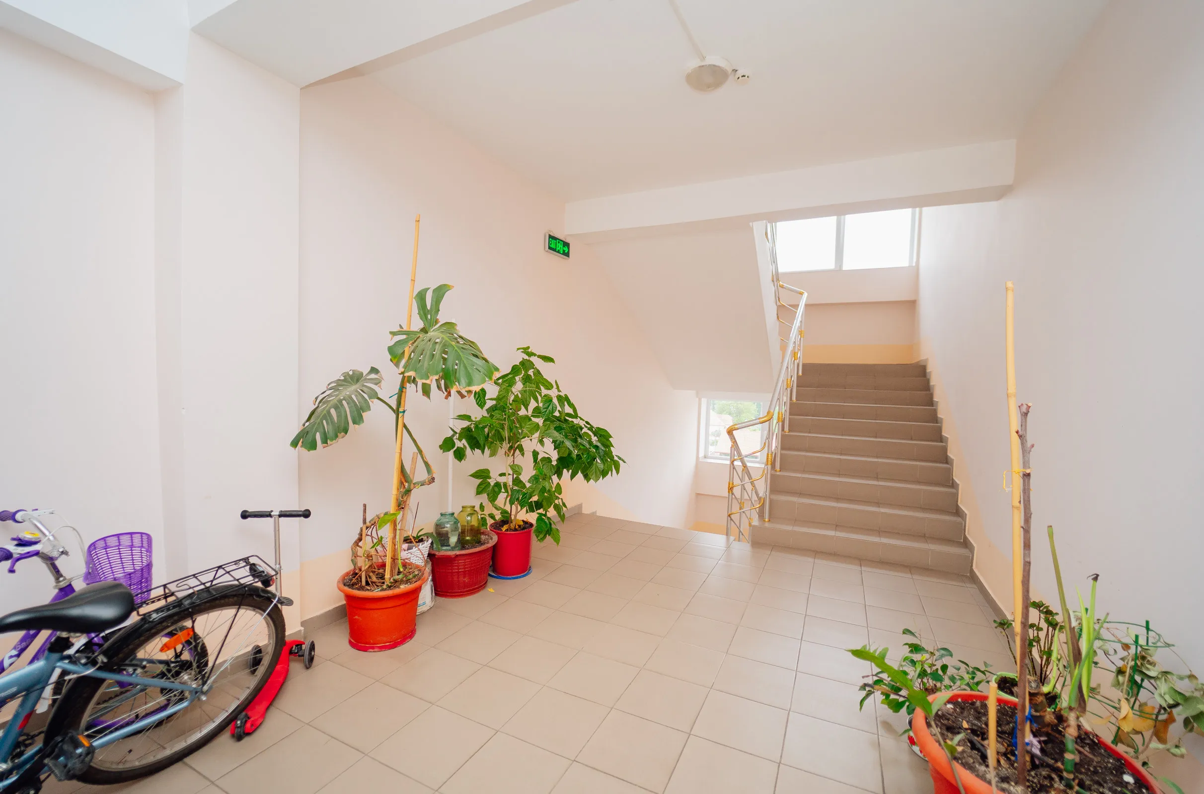  Chișinău Botanica str. Prigoreni 15