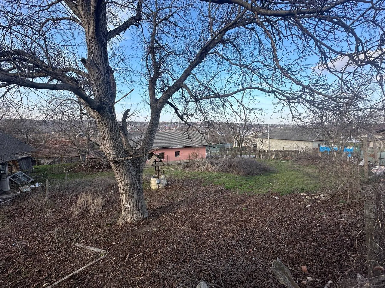 Strășeni Cojușna str. Ştefan cel Mare și Sfînt 2