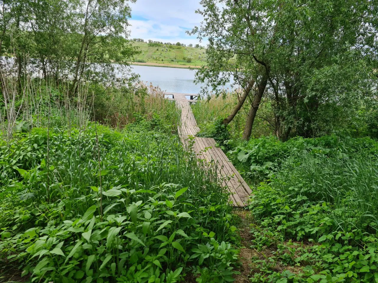 Ialoveni Nimoreni 19