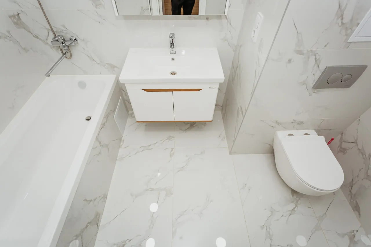 Chișinău Botanica bd. Dacia 8