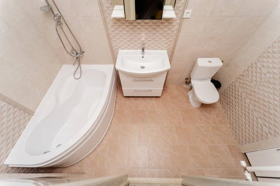 Liviu Deleanu 10/1  2