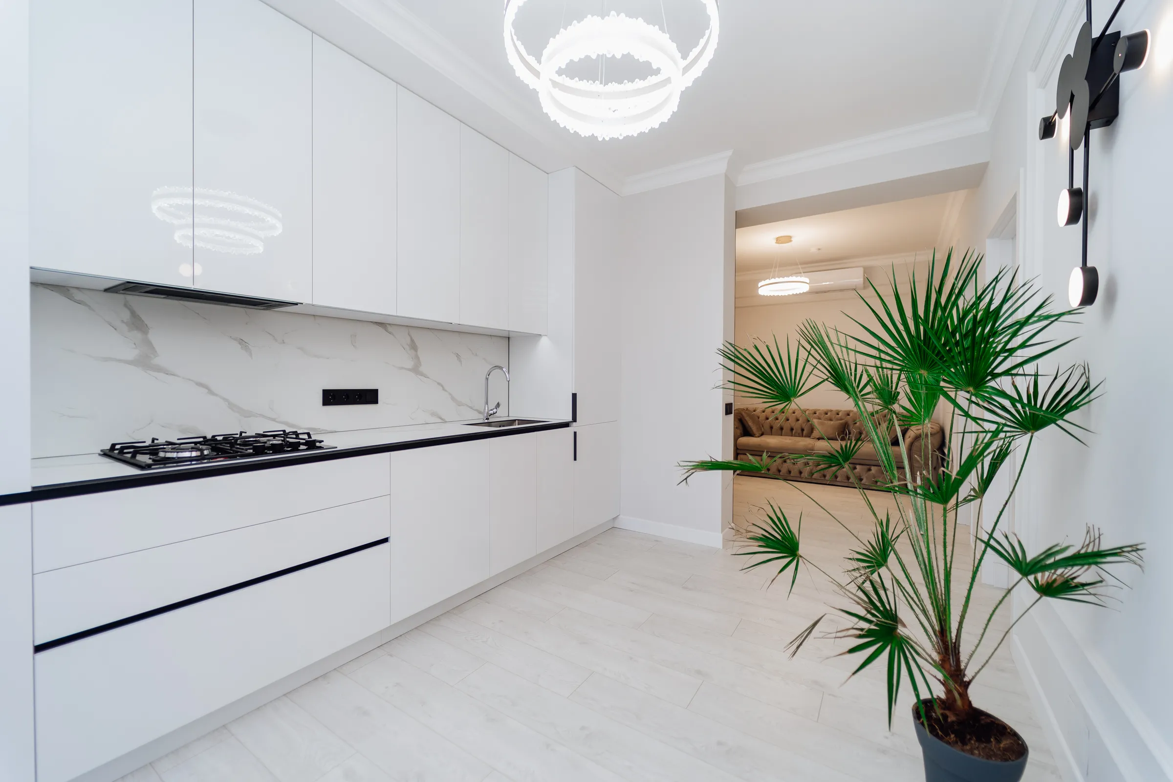 Chișinău Centru str. Pan Halippa 15