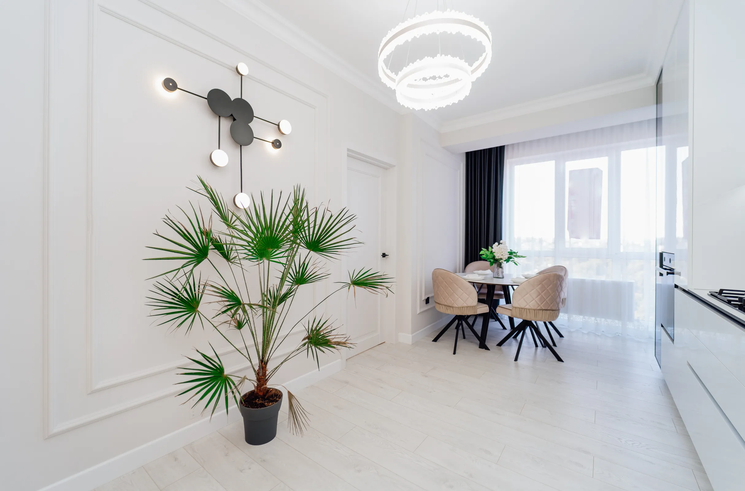 Chișinău Centru str. Pan Halippa 14