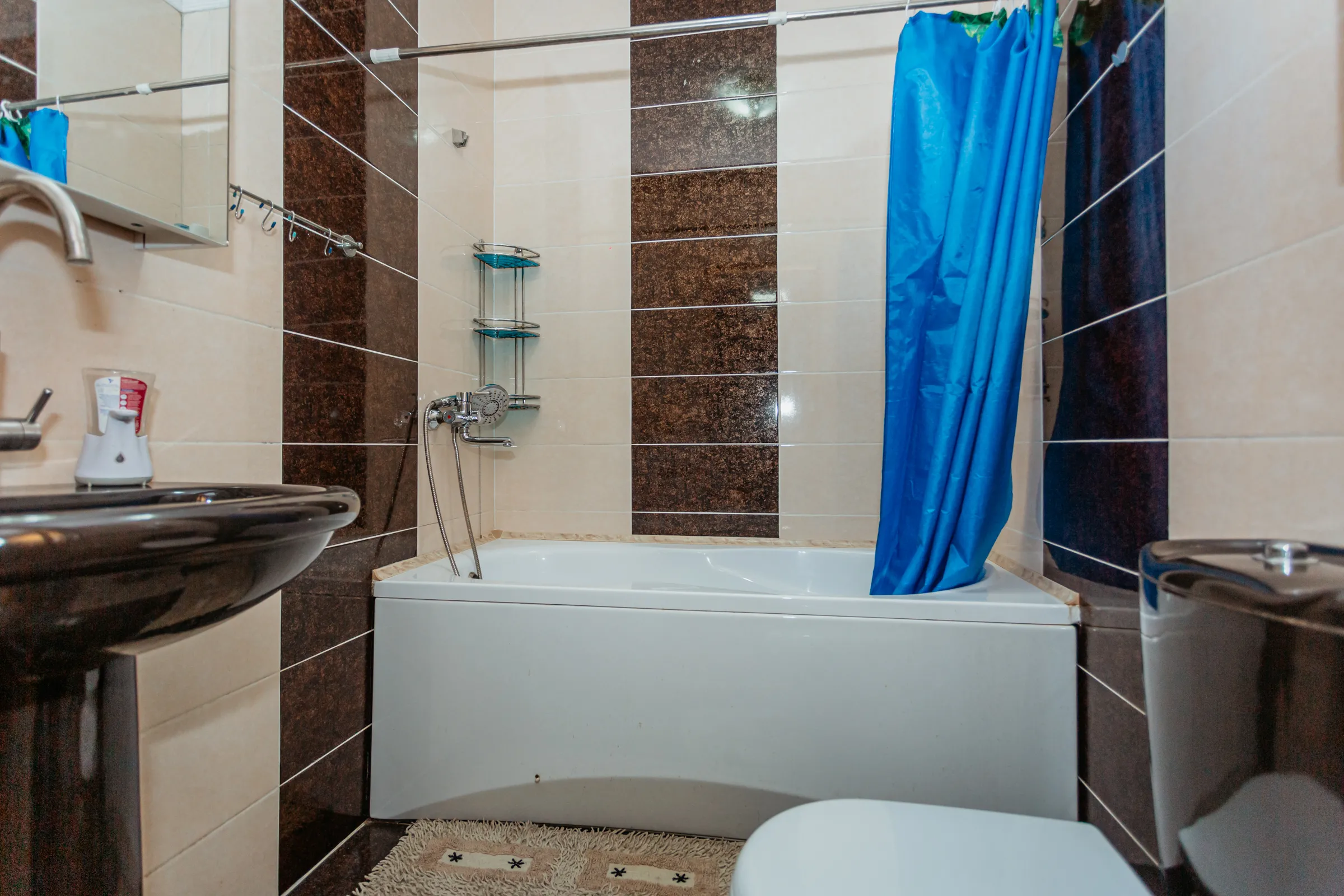 Chișinău Botanica str. Independenței 4