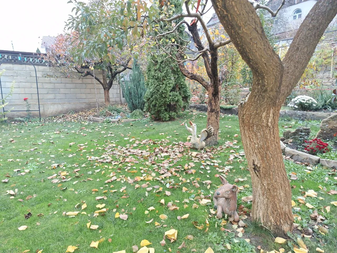 Chișinău Codru str. Europa 5