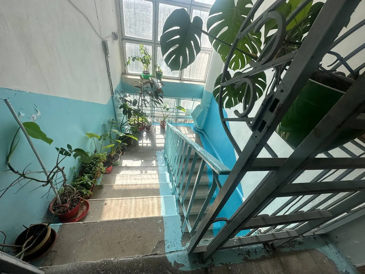 Chișinău Rîșcani str. Miron Costin 15