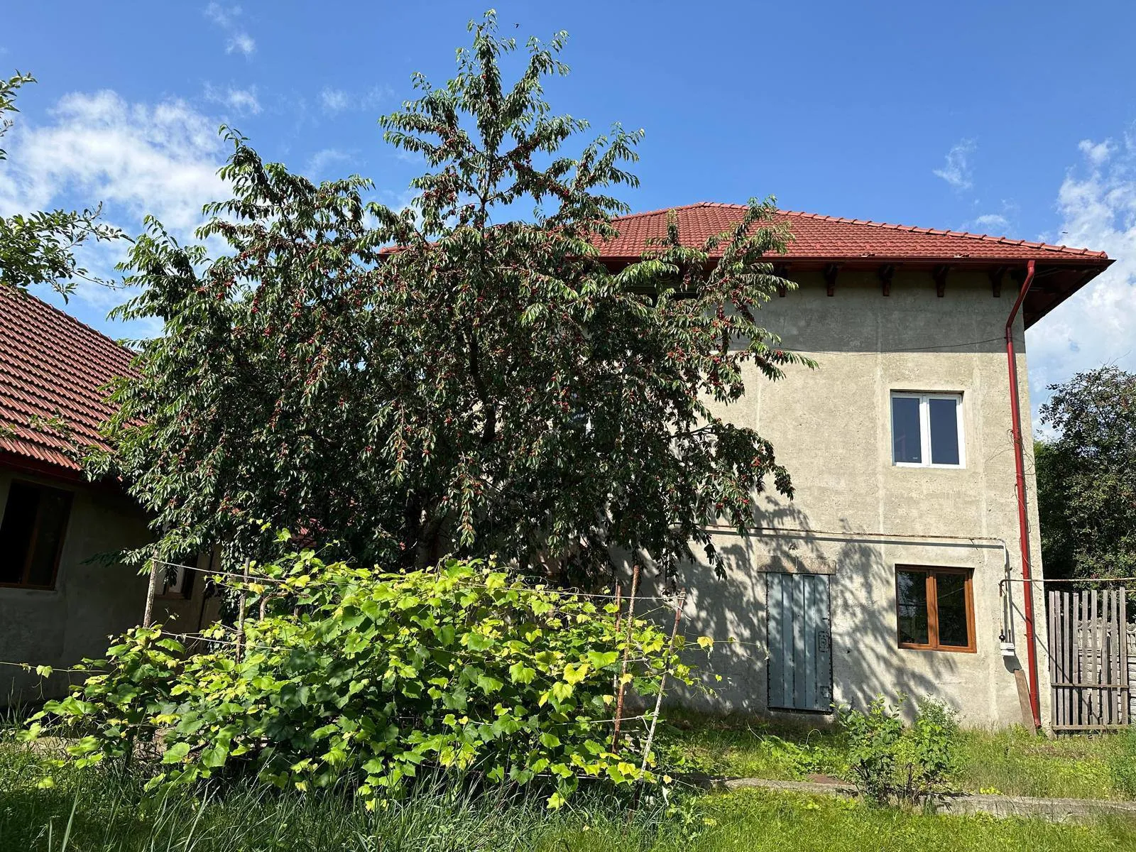 Criuleni Porumbeni str. Ion Creangă 1